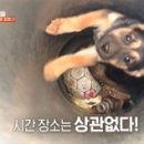 이선영농장 이미지