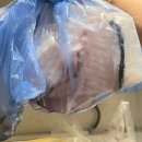 서울수산 | 가락시장 방어 장성수산 서울 방어 맛집 후기
