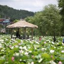 충남건재 이미지