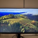 LG UltraGear 27" QHD 144Hz 게이밍 모니터 팝니다 1ms GTG IPS LED G-Sync 이미지