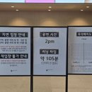 스튜데뜨