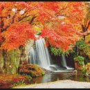 바른비뇨의학과의원 이미지