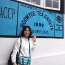 모다다원 이미지