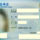 울산출입국여행사