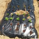 재환농장 이미지