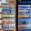 골든루트로 | 속초가볼만한곳 크래프트루트 속초맥주양조장 솔직 후기