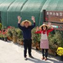 토마스농장 이미지