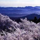 태백산맥 이미지