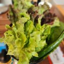 장금이소머리국밥 | 아난티 중앙GC 근처 맛집 추천 BEST4