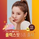 렌즈미경성대점 이미지