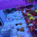 뽀꼬뽀꼬뽑기샵 이미지