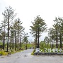 국립세종수목원 이미지