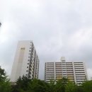 분당-5 조선비즈