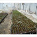 태기산농장 이미지