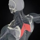 요가(심화) 이미지