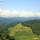 명도햇빛발전소 이미지