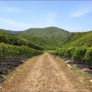 산골짜기 영농조합법인 이미지