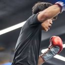 더아트복싱클럽 이미지