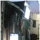 동락일식