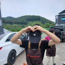 6월7일(일) 킹아님의 유기견 봉사모임 후기 이미지