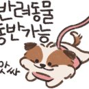 헤어바이비 이미지