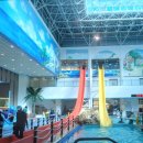 금호푸드 | 화순 아쿠아나 워터파크 준비물 푸드코트 슬라이드