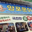 양포문어 이미지