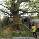 송산새마을경로당 이미지