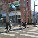 스타벅스 앞 횡단보도 이미지