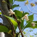 남원목장 이미지