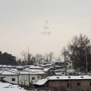 개와 집사의 시간 이미지