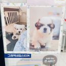다이소 대구칠곡네거리점 네이버블로그