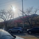 예직교회 개방화장실 | 부산 매화 명소 기장 매화원 입장료 개방시간 홍매화 봄꽃 후기