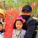 천사카랜드 이미지