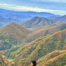 안천~용담 단풍나무길 | 전북 진안 구봉산 단풍 산행 후기
