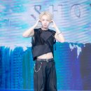 세븐라인 이미지