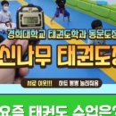 경기대석사태권도 이미지