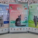 세종사료 이미지