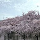 미세스블랑 | 12. 마치 떠나간 계절같은