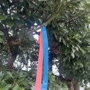 밖거리 민박 이미지