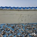 고대도6 이미지