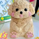 펫스튜리(petschurri) 이미지