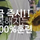 지금 즉시 행복해지는 1000%훈련!!! 이미지