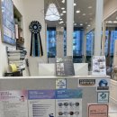 저스틴 멍멍 이미지