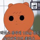 최고의집&칼국수