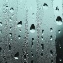 도둔태권스쿨태권도장 이미지