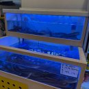 배딱관평점 | 대전 관평동 맛집 관평동 장어덮밥 우나기칸 대전관평점