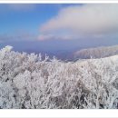 그 겨울의 찻집 - 조용필 이미지