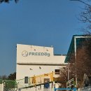 세이브독 | 대전근교 애견펜션 논산 프리독 펜션에서 즐거운 하루 보내기