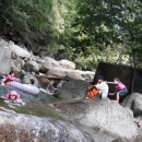 뭉치농장 이미지